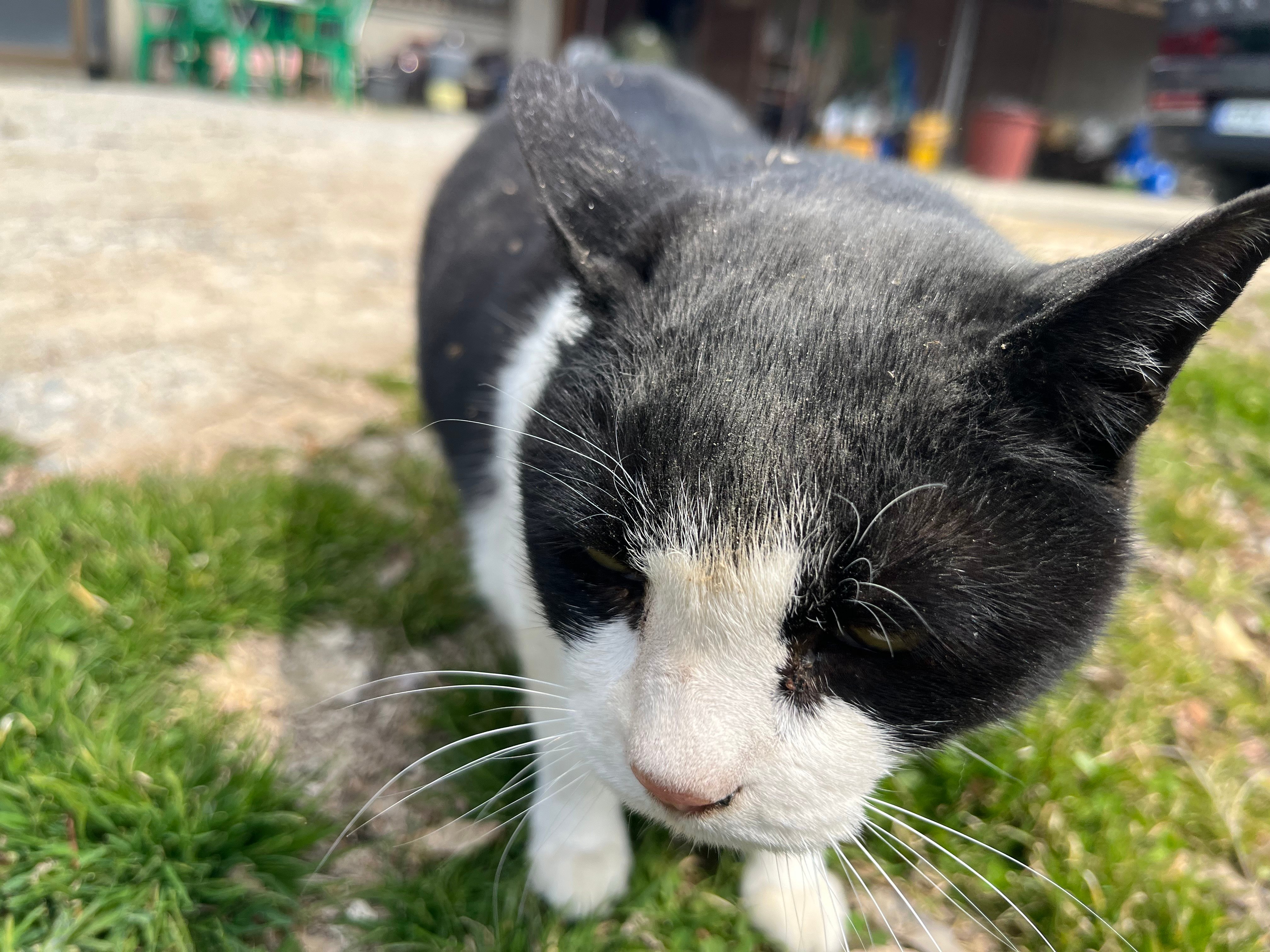 첨부 이미지