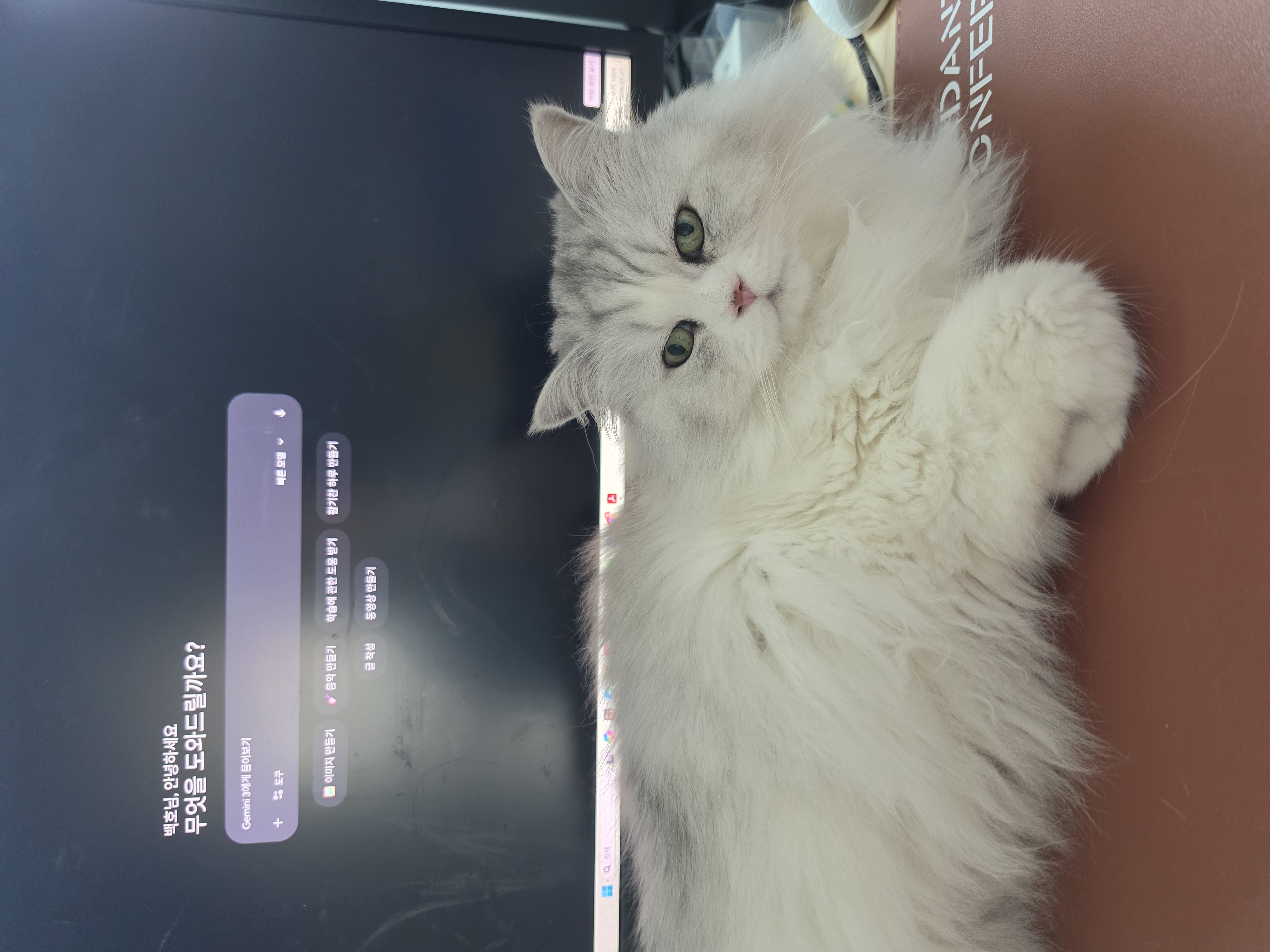 첨부 이미지