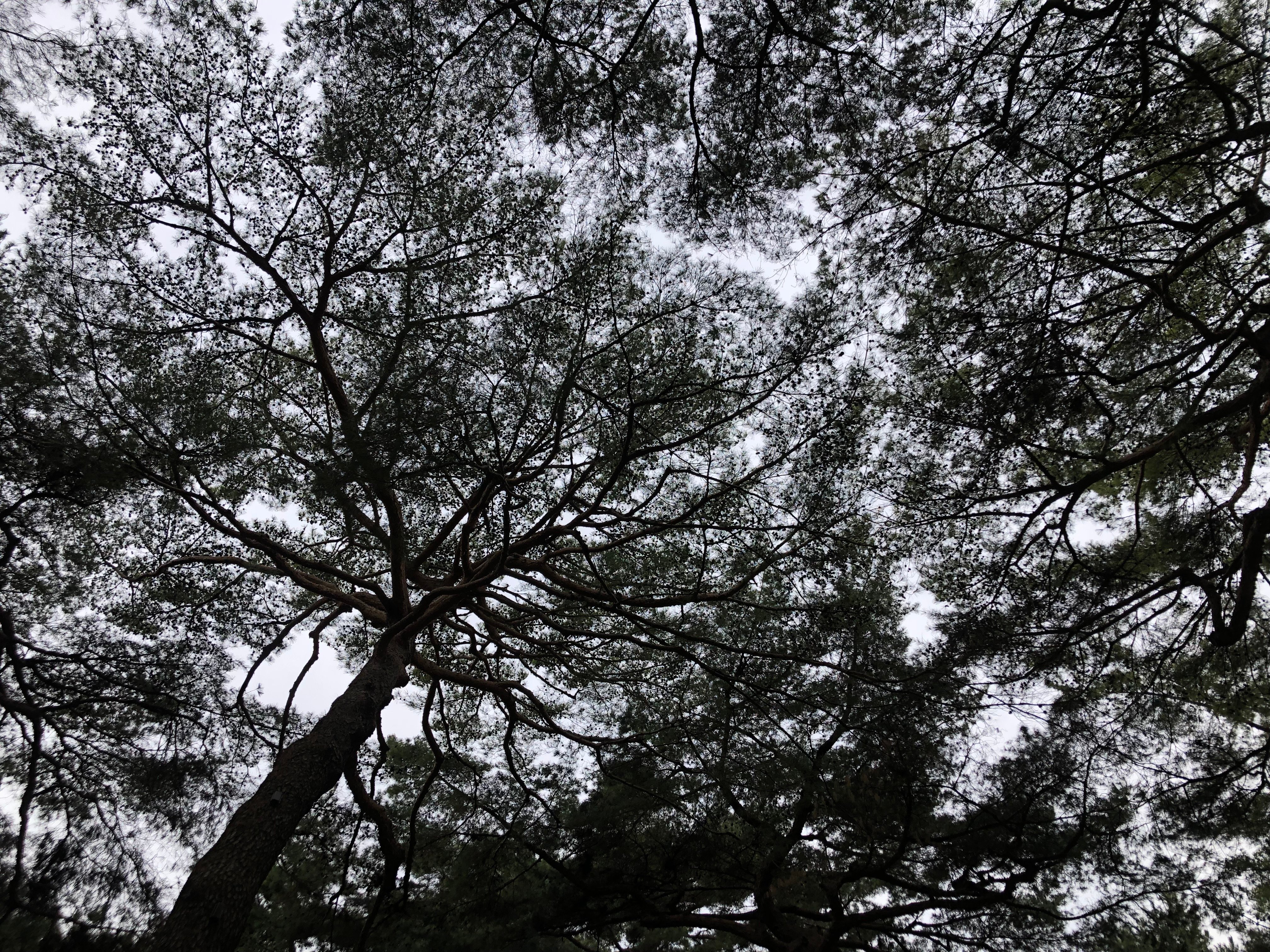 IMG_9928.jpeg