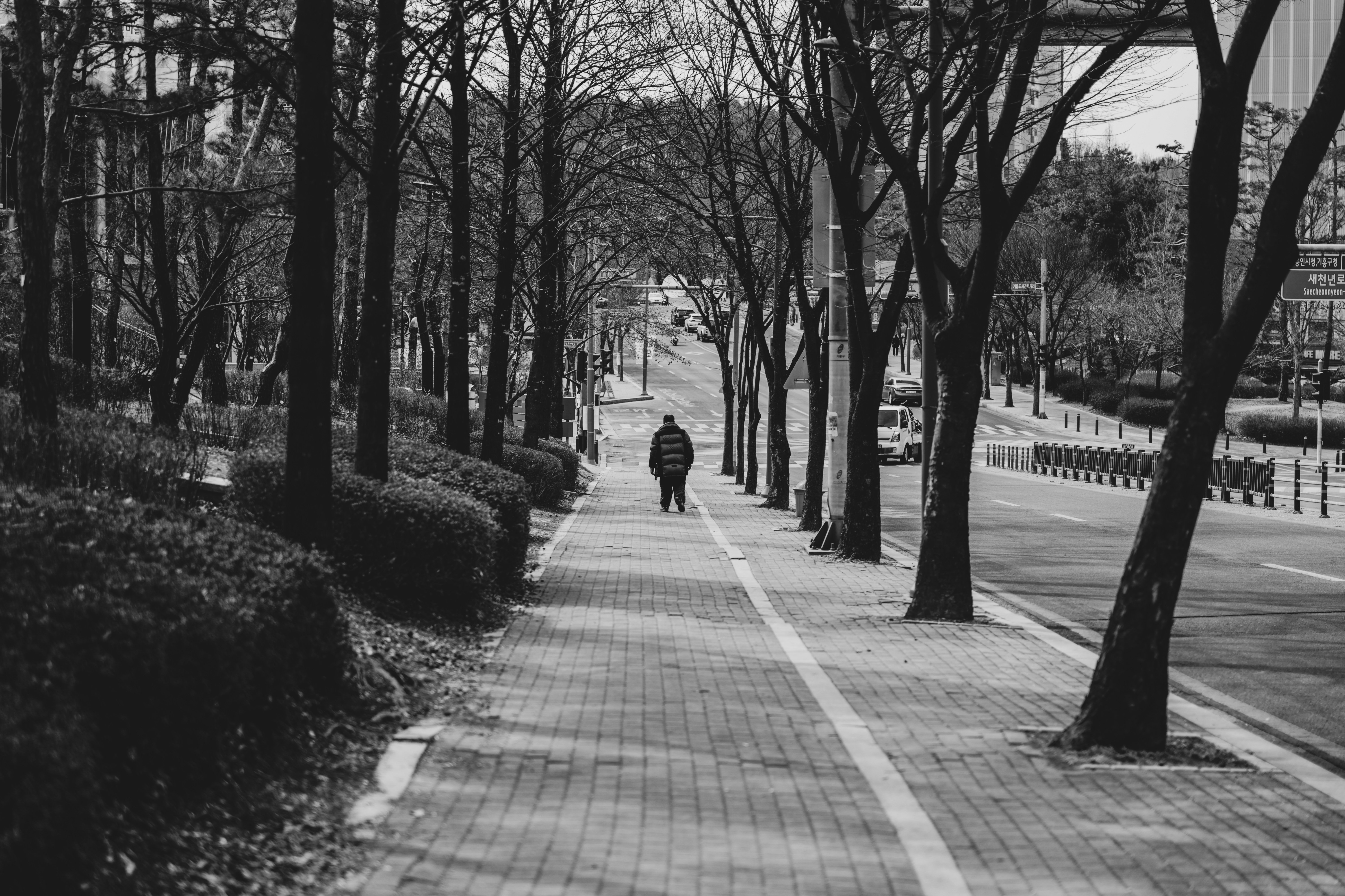 IMG_9238 (1).jpg