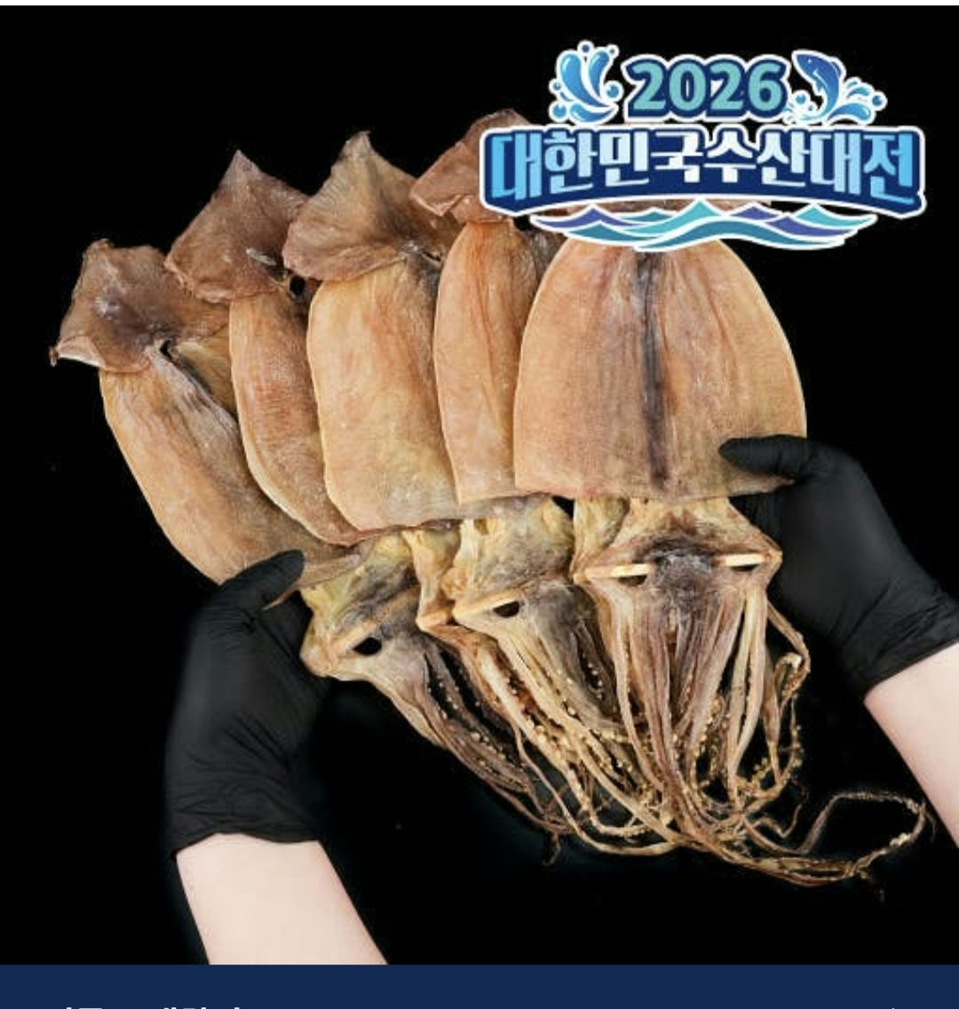 오징어.jpg
