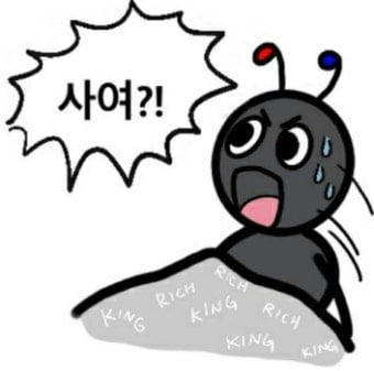 첨부 이미지