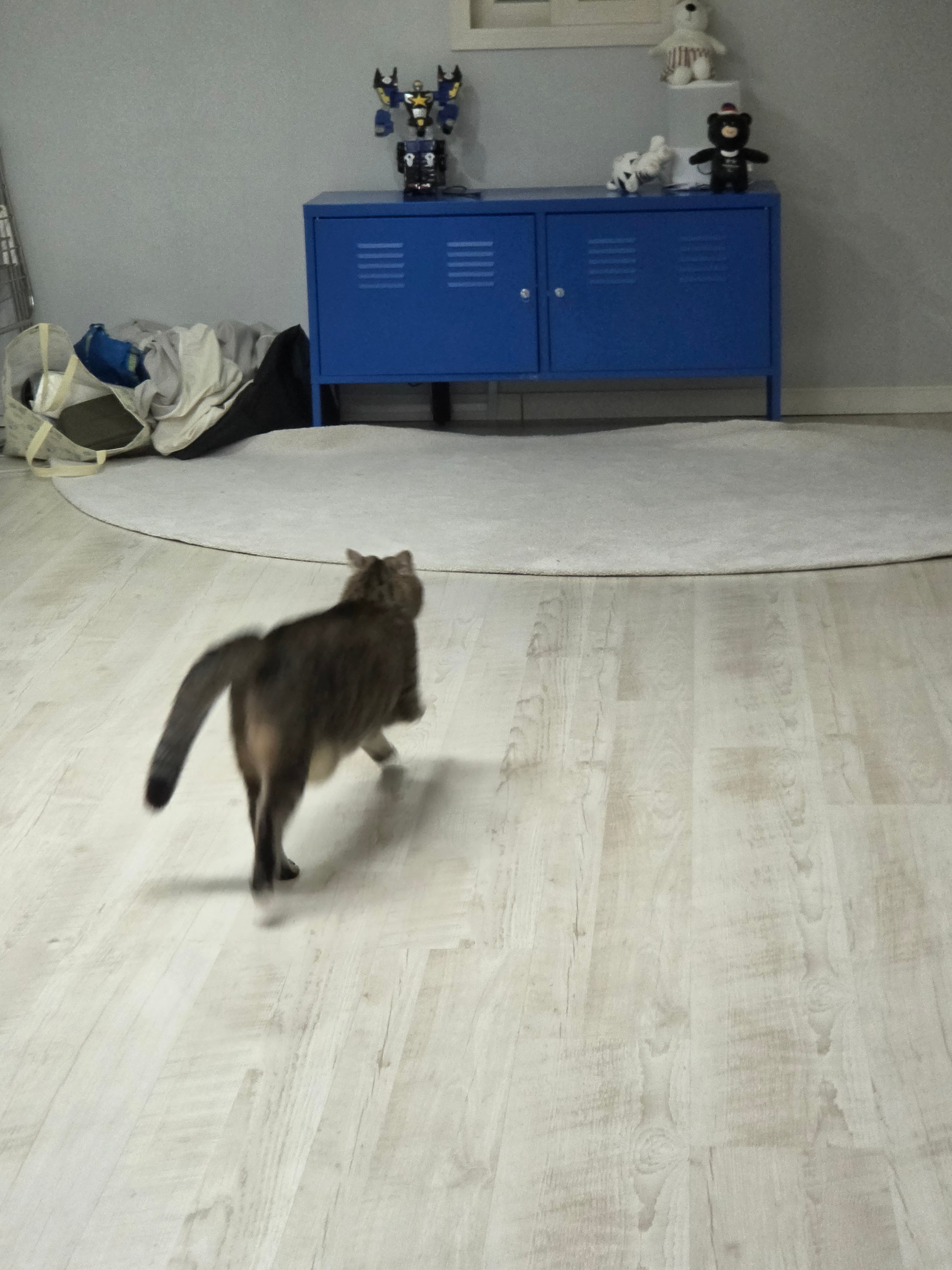 20260324_215359.jpg
