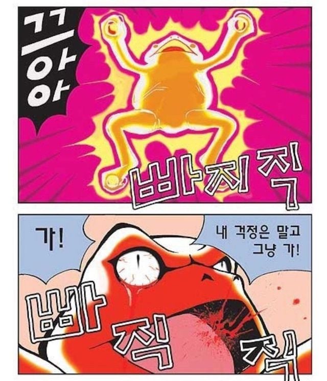 첨부 이미지