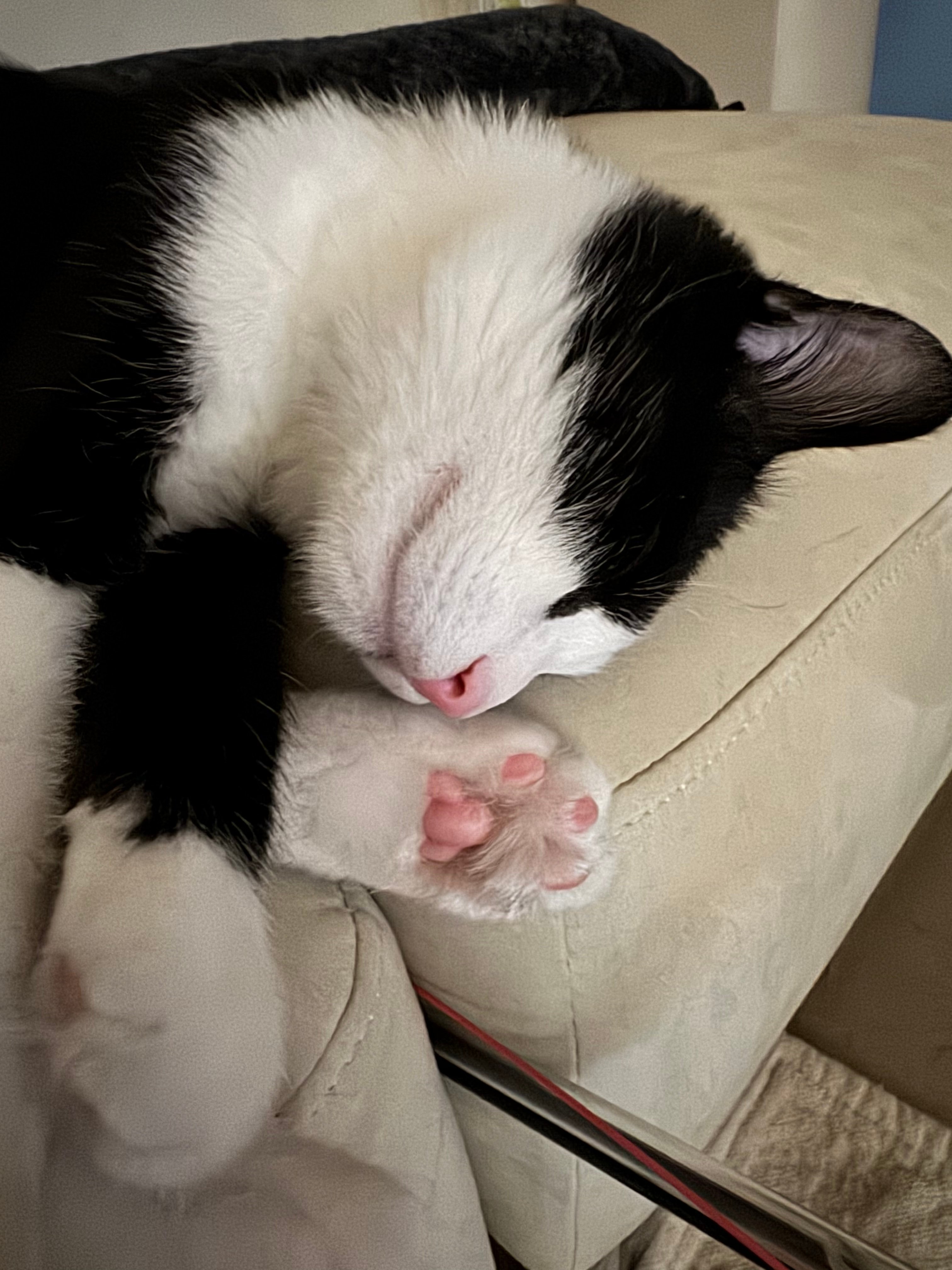 KakaoTalk_20260324_103059362_01.jpg