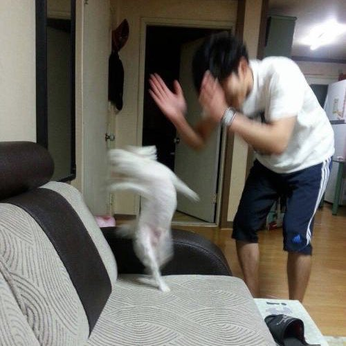 첨부 이미지