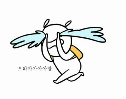첨부 이미지