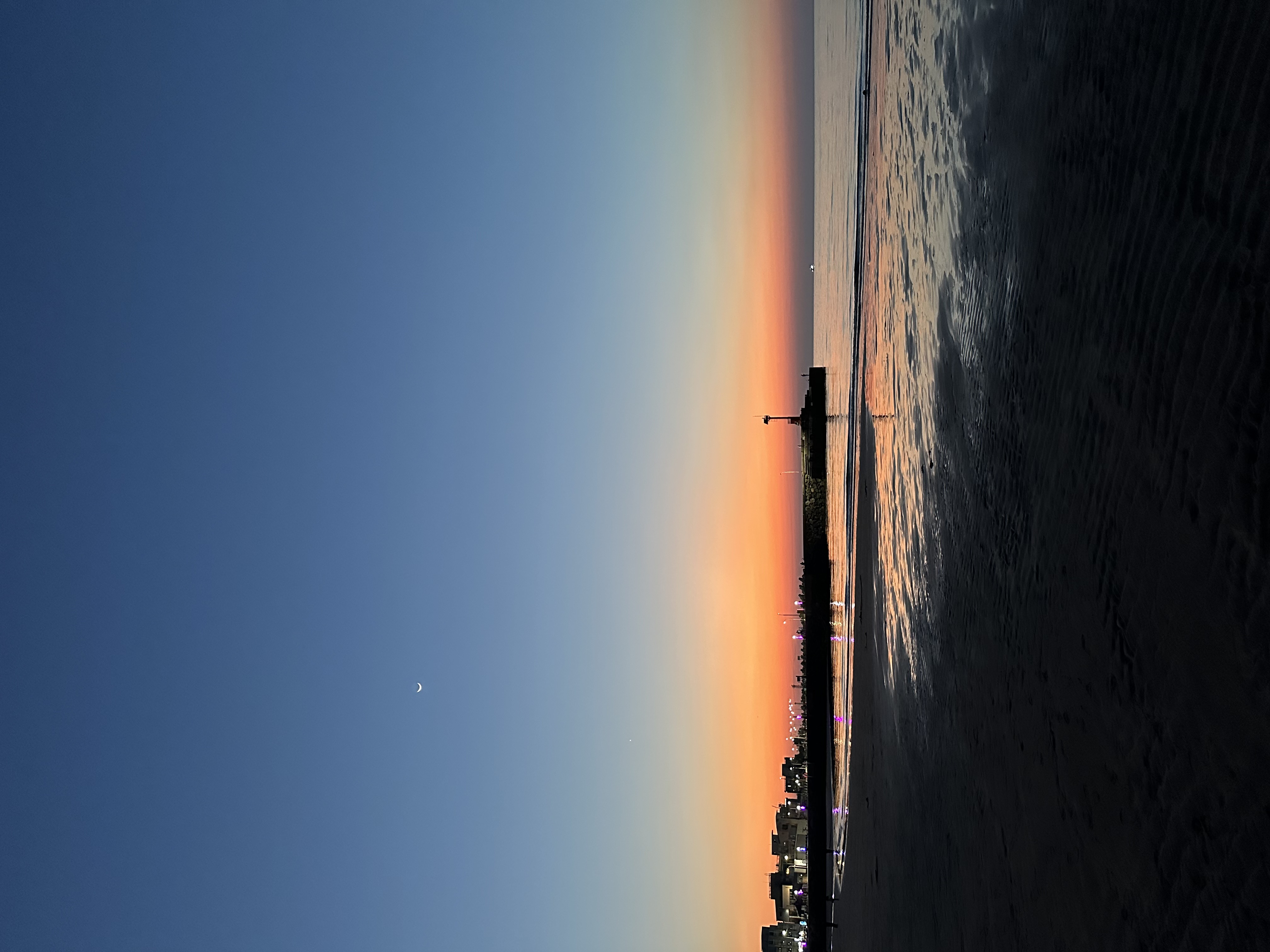 IMG_1173.jpeg