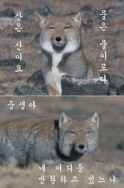 첨부 이미지