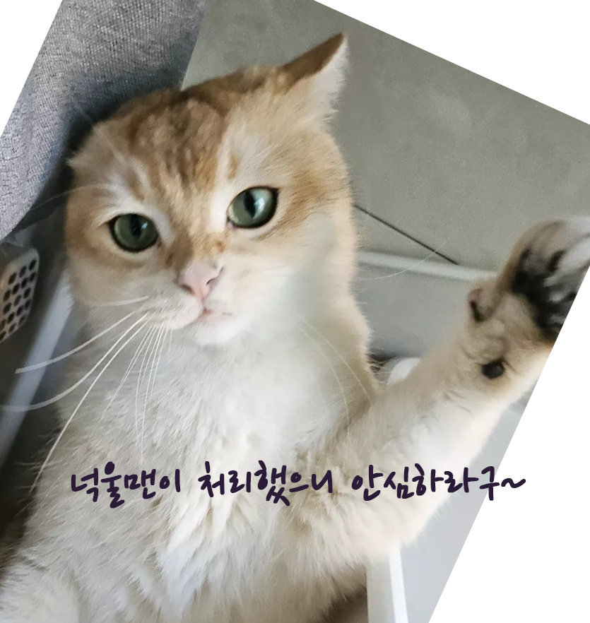 첨부 이미지