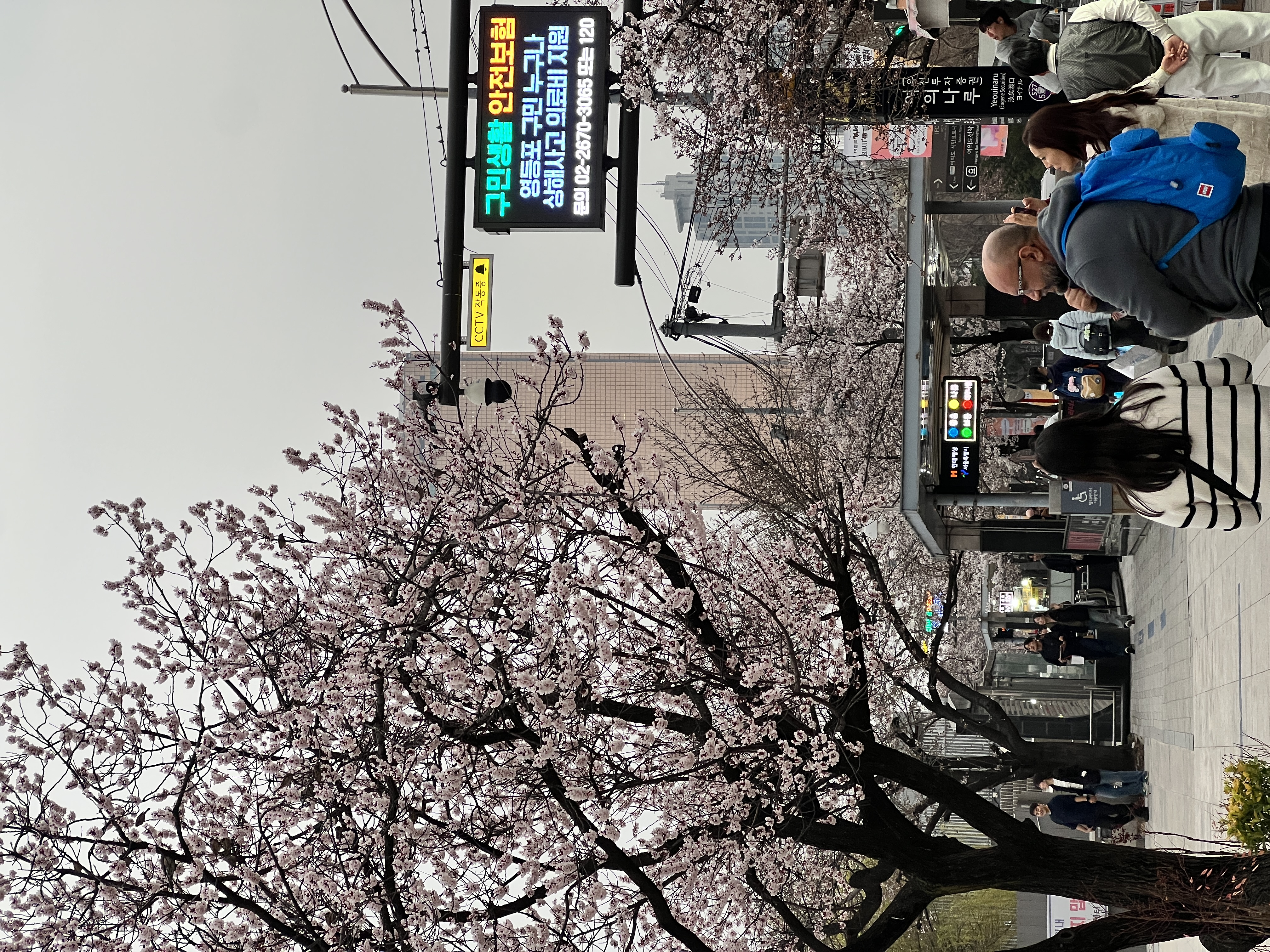 IMG_3479.jpeg