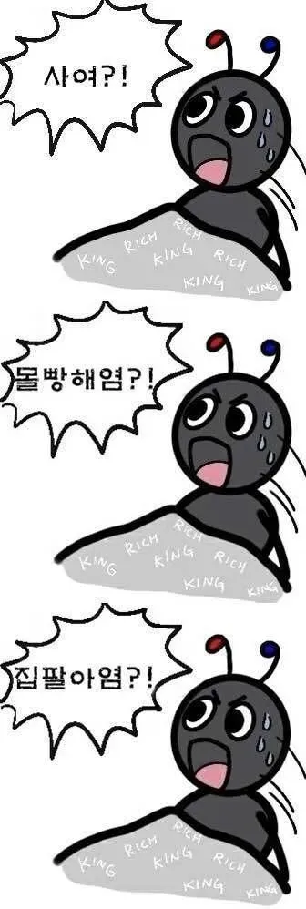 첨부 이미지