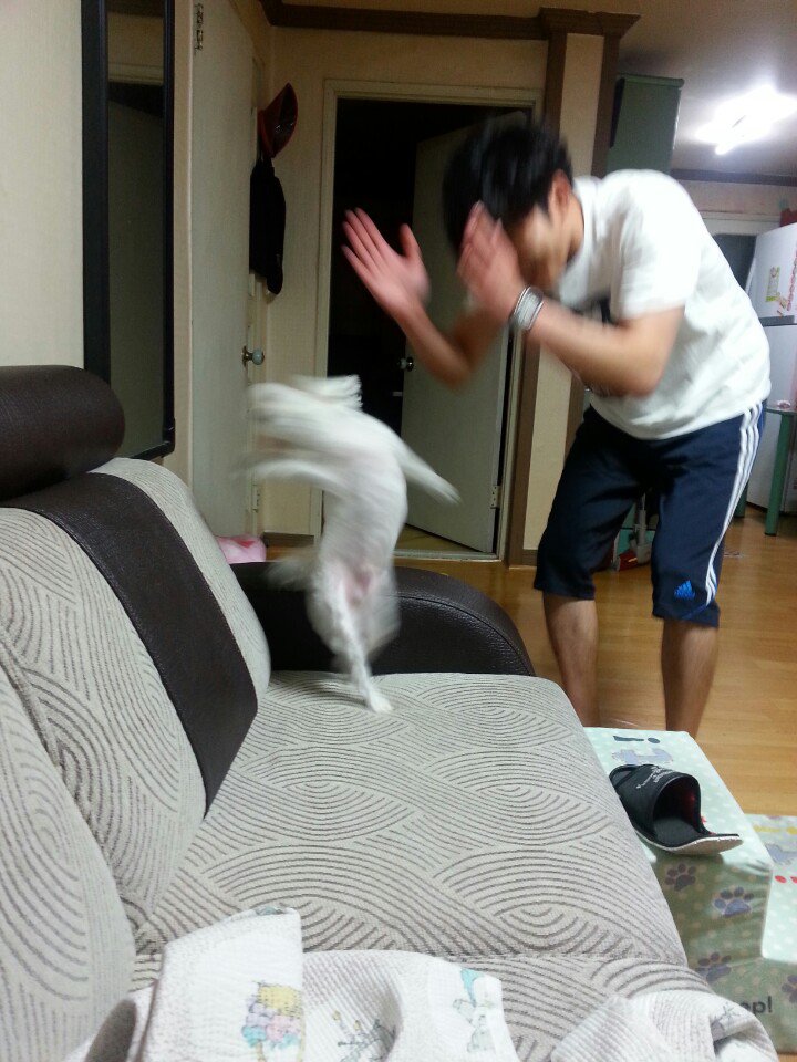 첨부 이미지