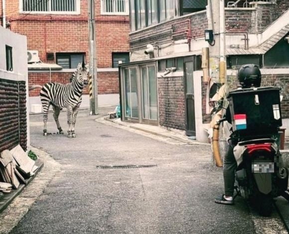 첨부 이미지