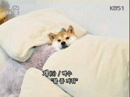 불꺼줘.jpg