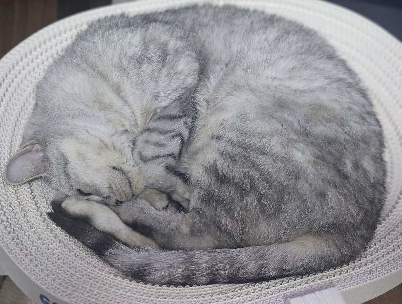 첨부 이미지