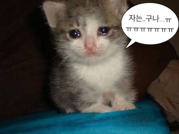 첨부 이미지