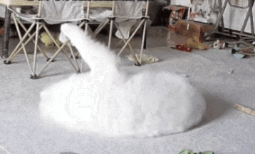 5bd33379d2a3e80e5713d307b615376c.gif