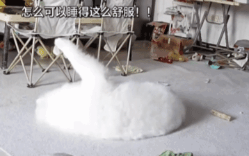 47490ad426da1539074283e3d35fbf7d.gif