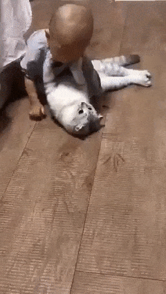 냥이랑아가랑.gif