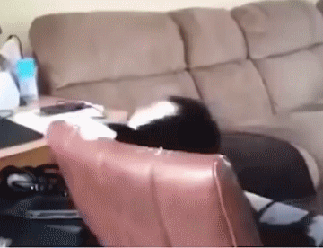 9.gif