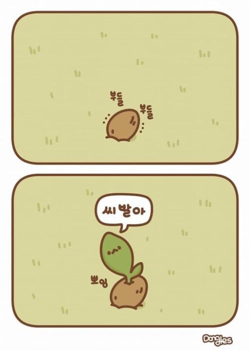 첨부 이미지