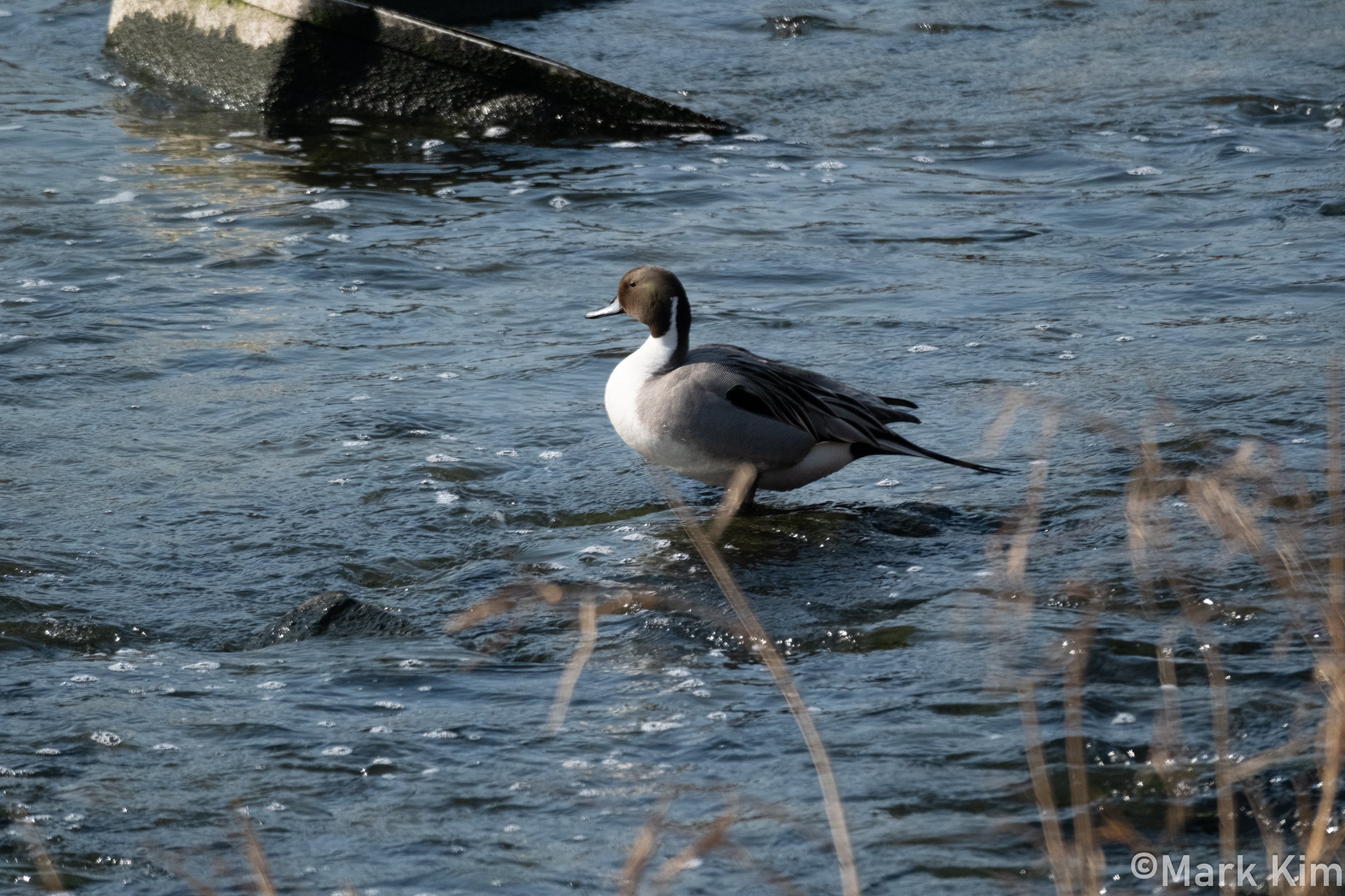 DSCF3802.jpg