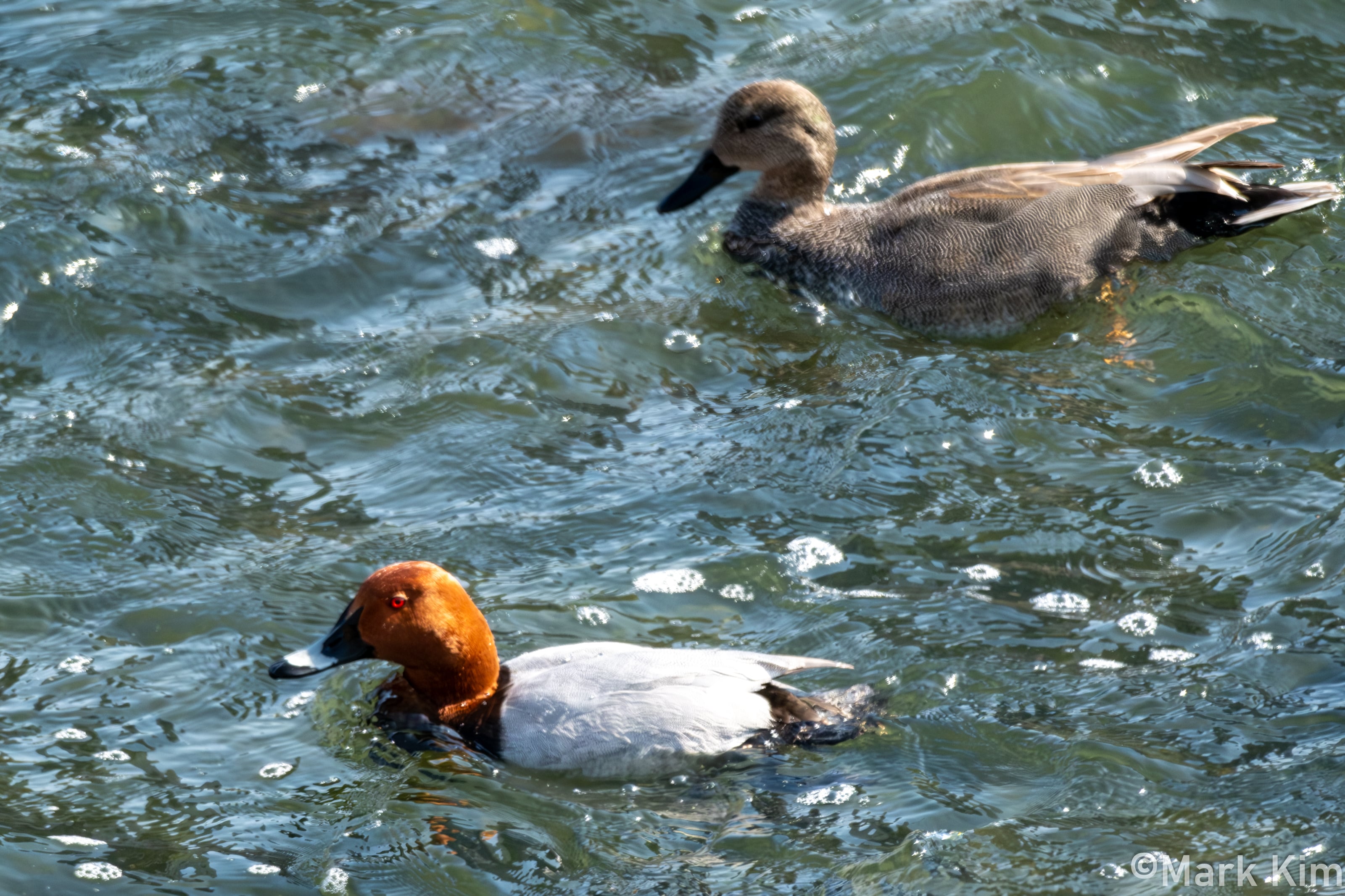 DSCF4191.jpg