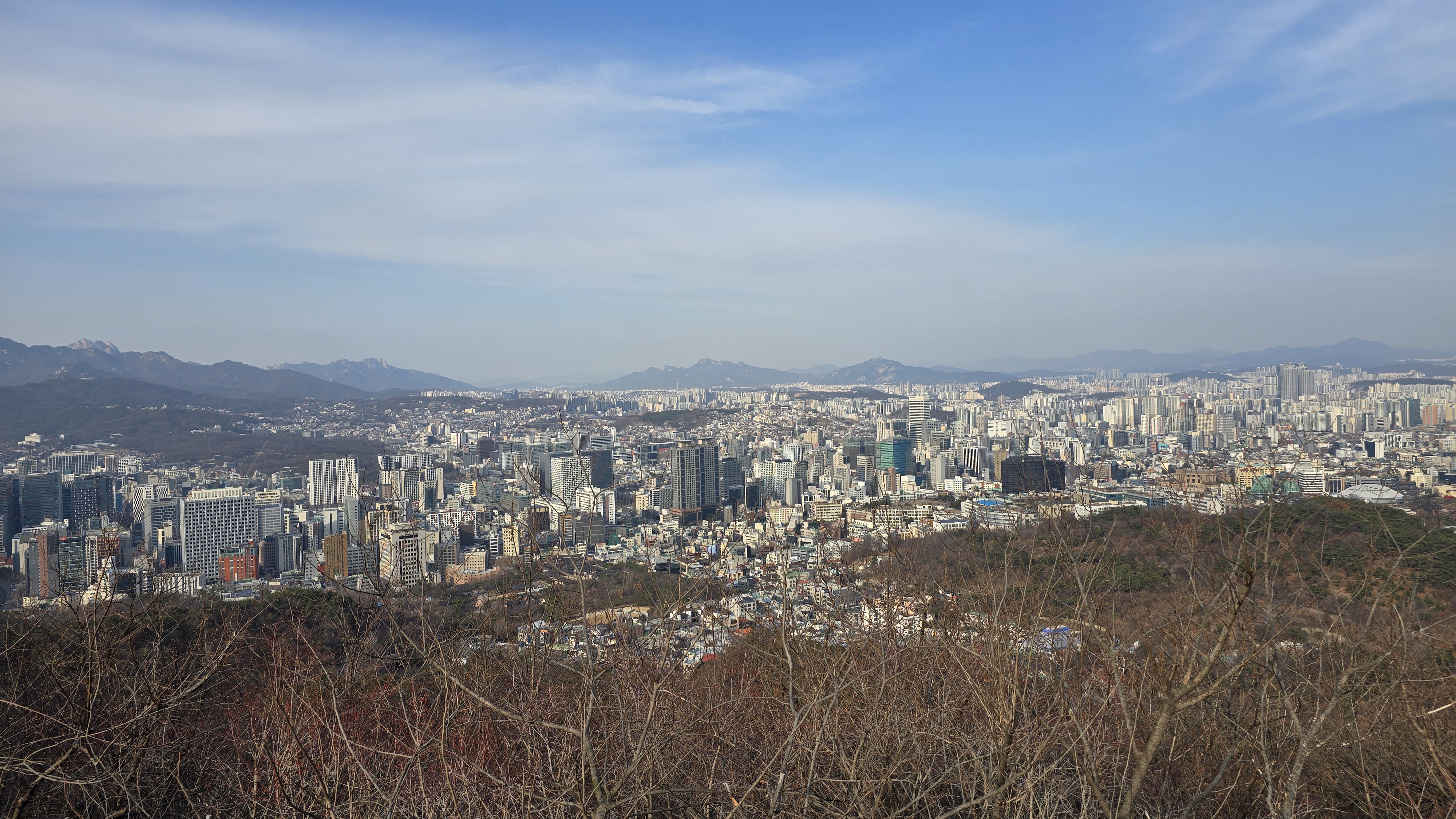 20260308_162101.jpg