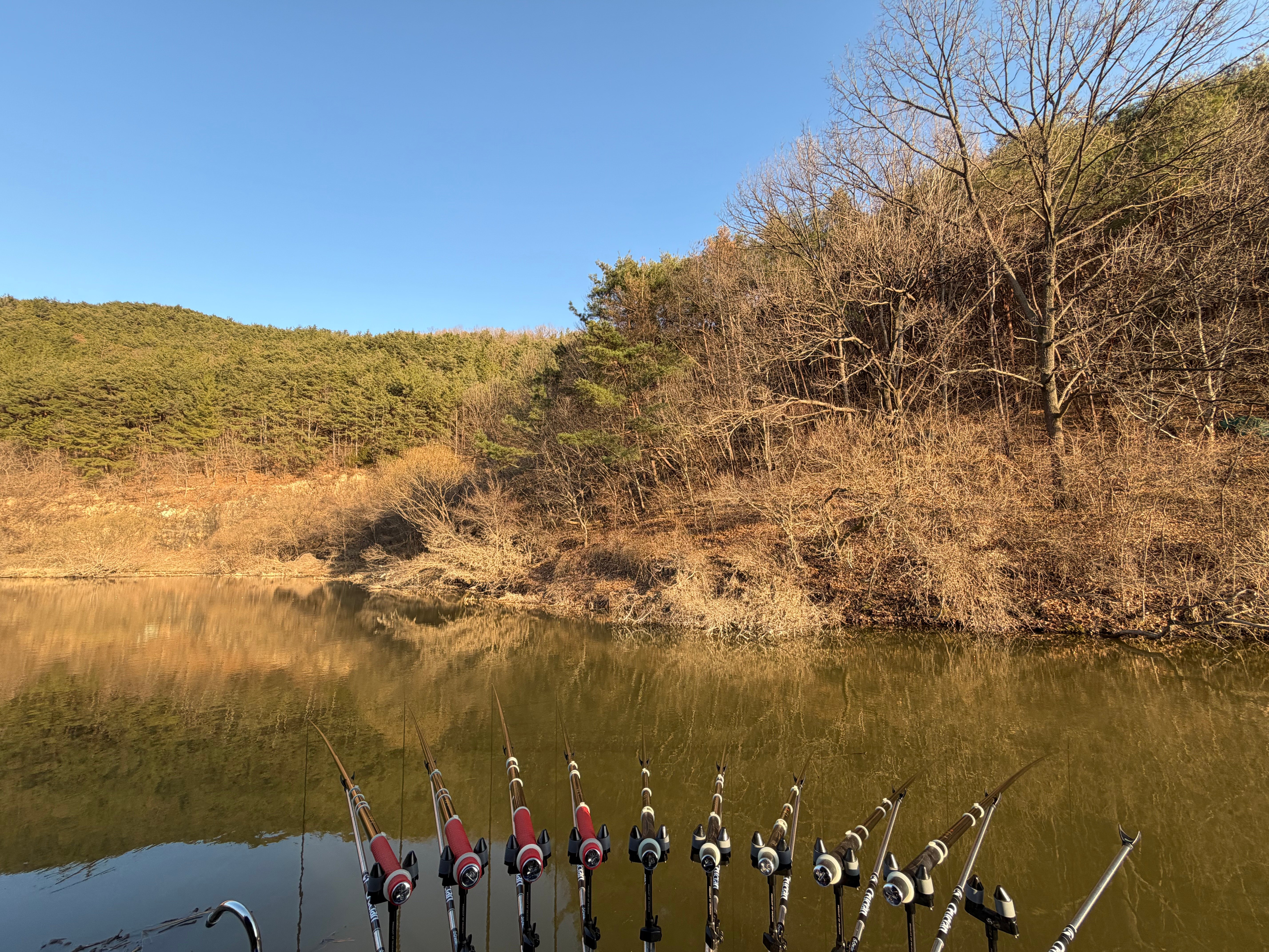IMG_8114.jpeg