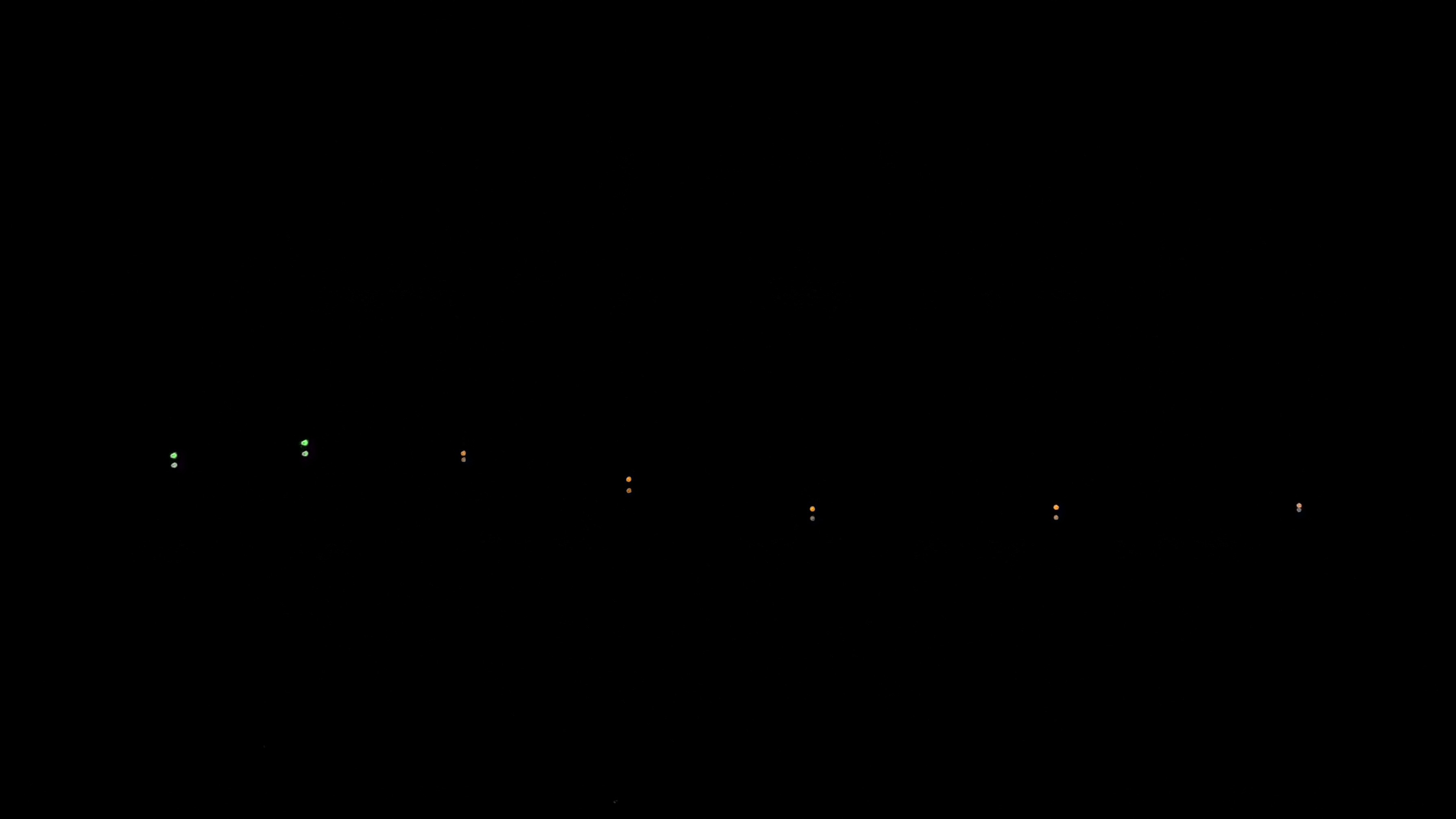 IMG_8116.jpeg