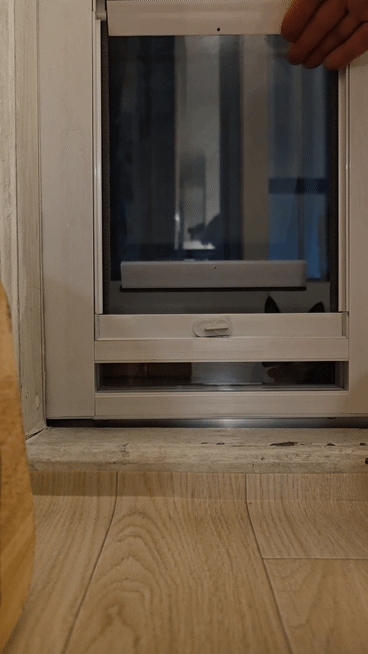 KakaoTalk_20260306_150018161_03.gif