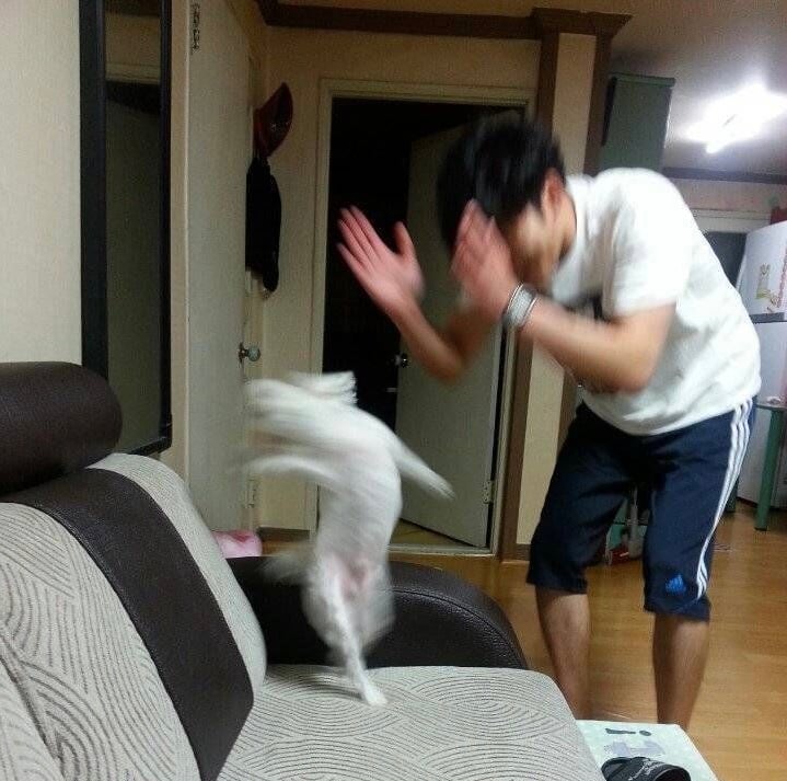 첨부 이미지