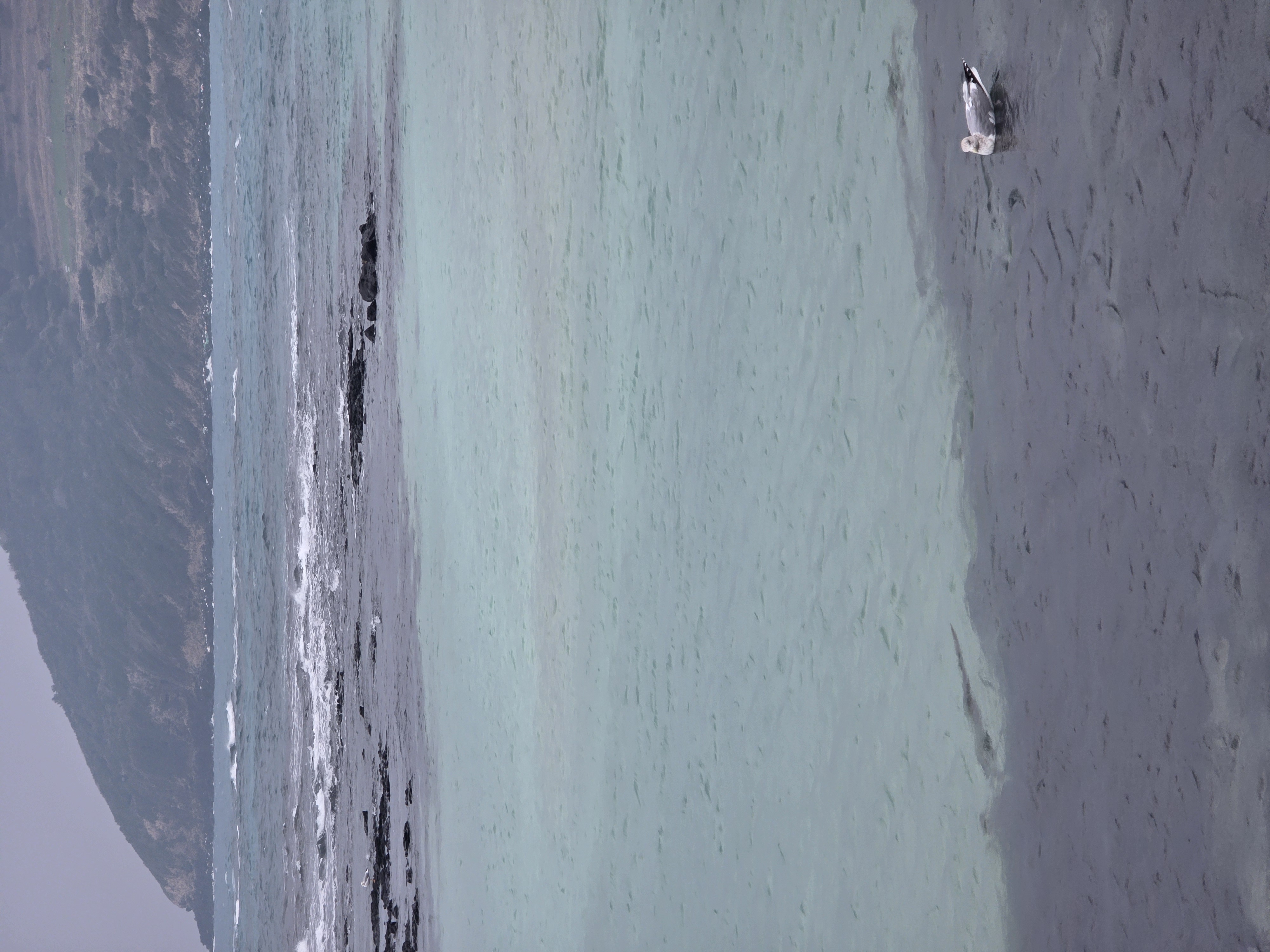 20260309_123950.jpg