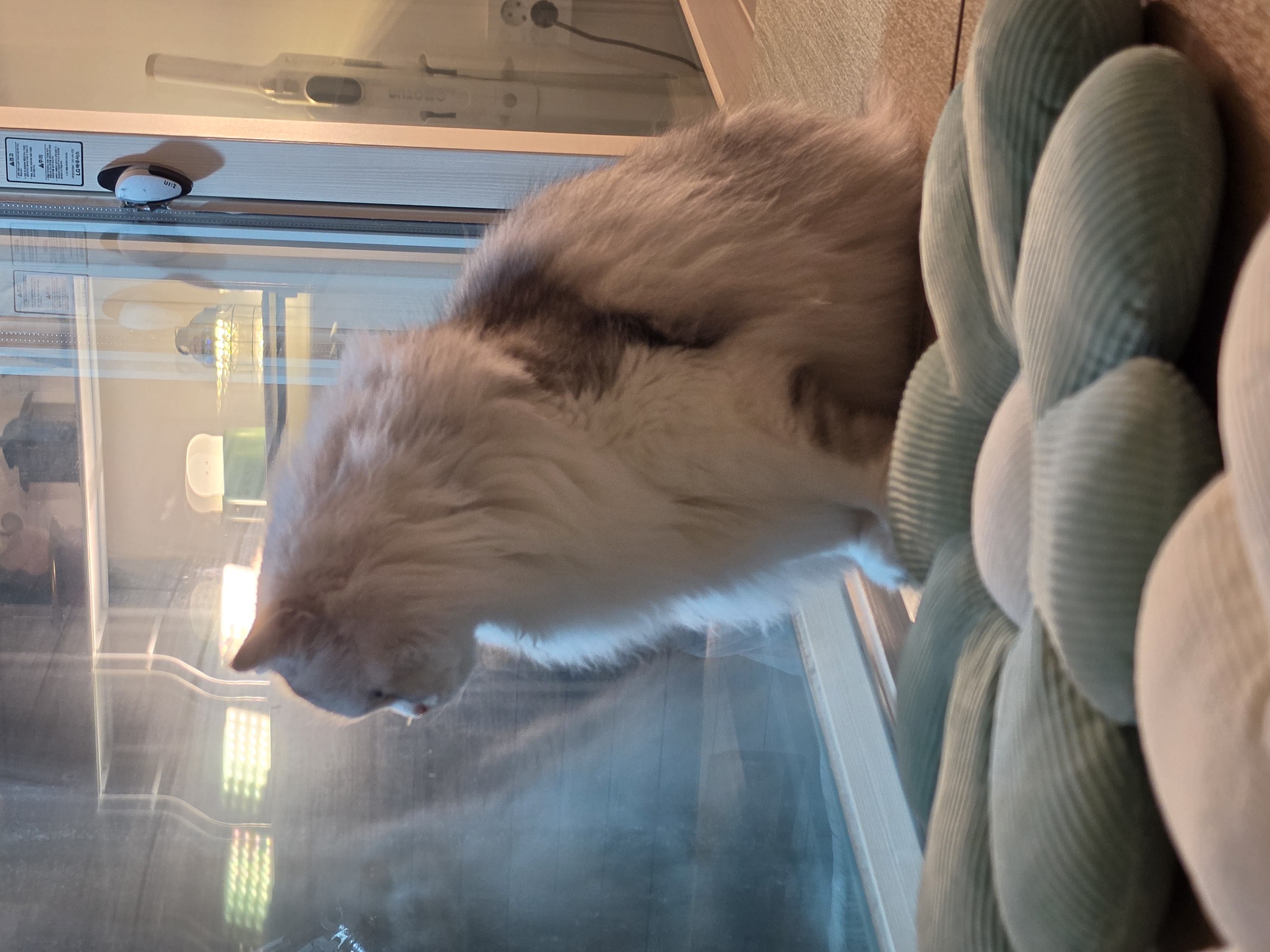 20260309_221803.jpg