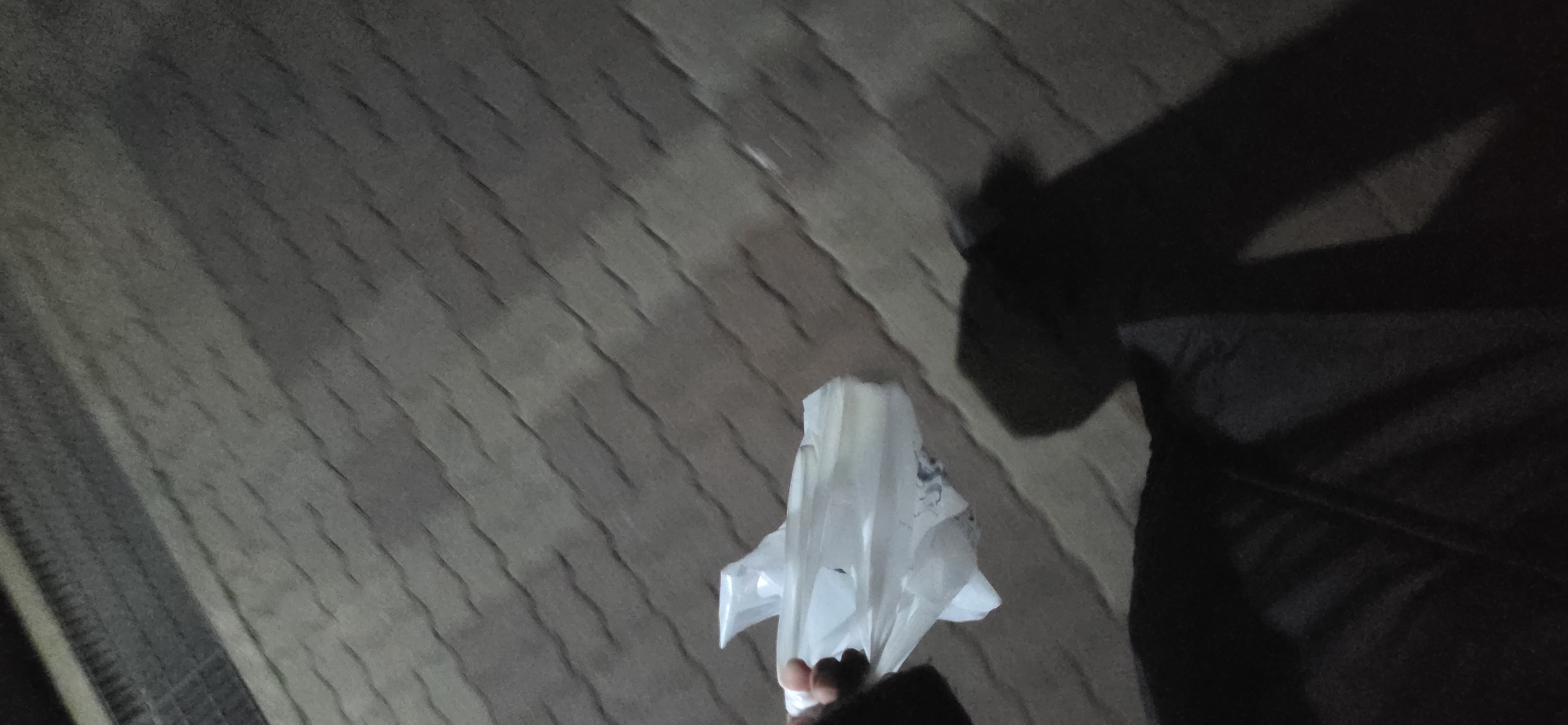 20260310_203226.jpg