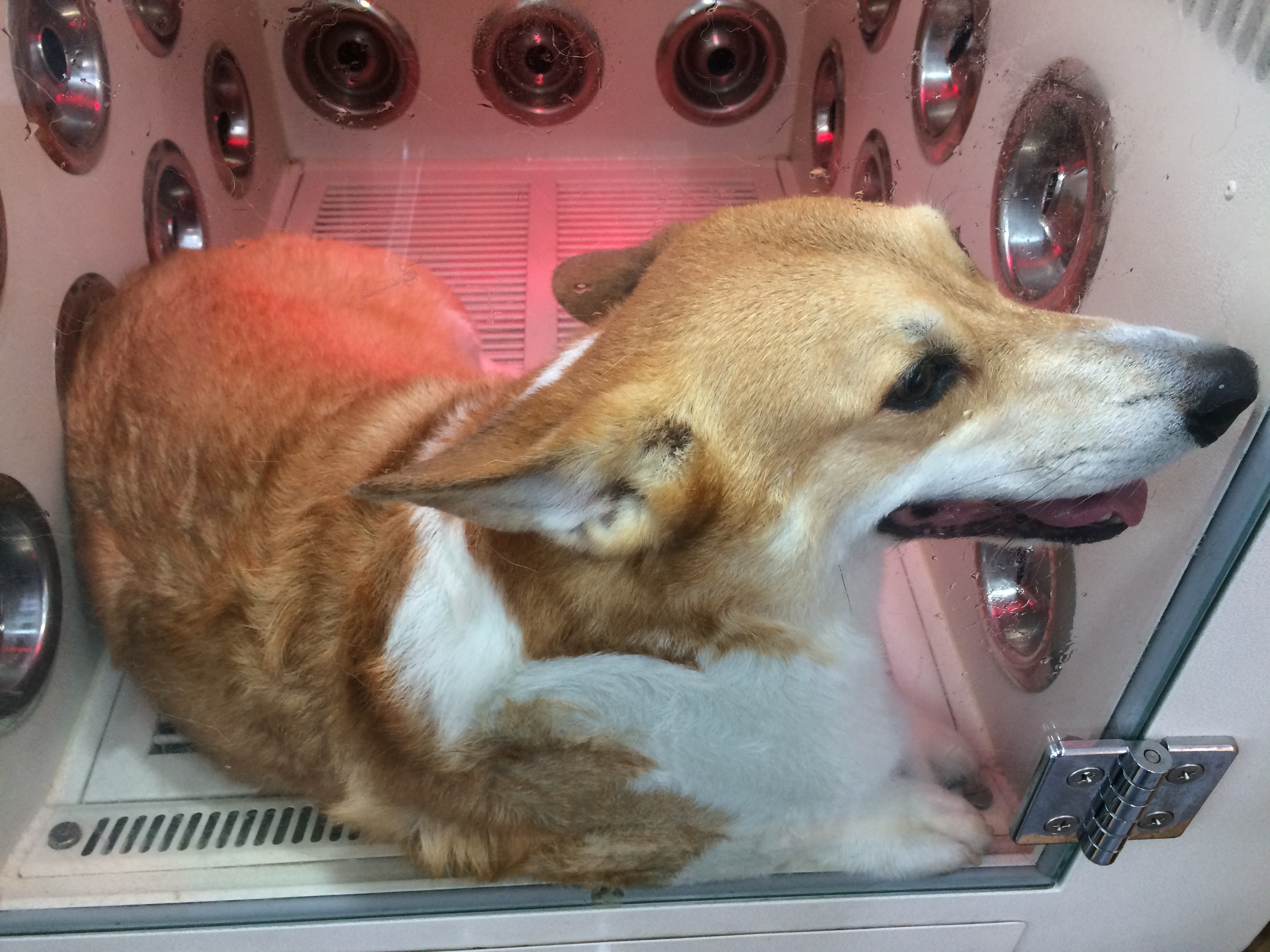 첨부 이미지