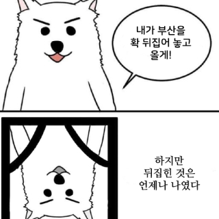 첨부 이미지