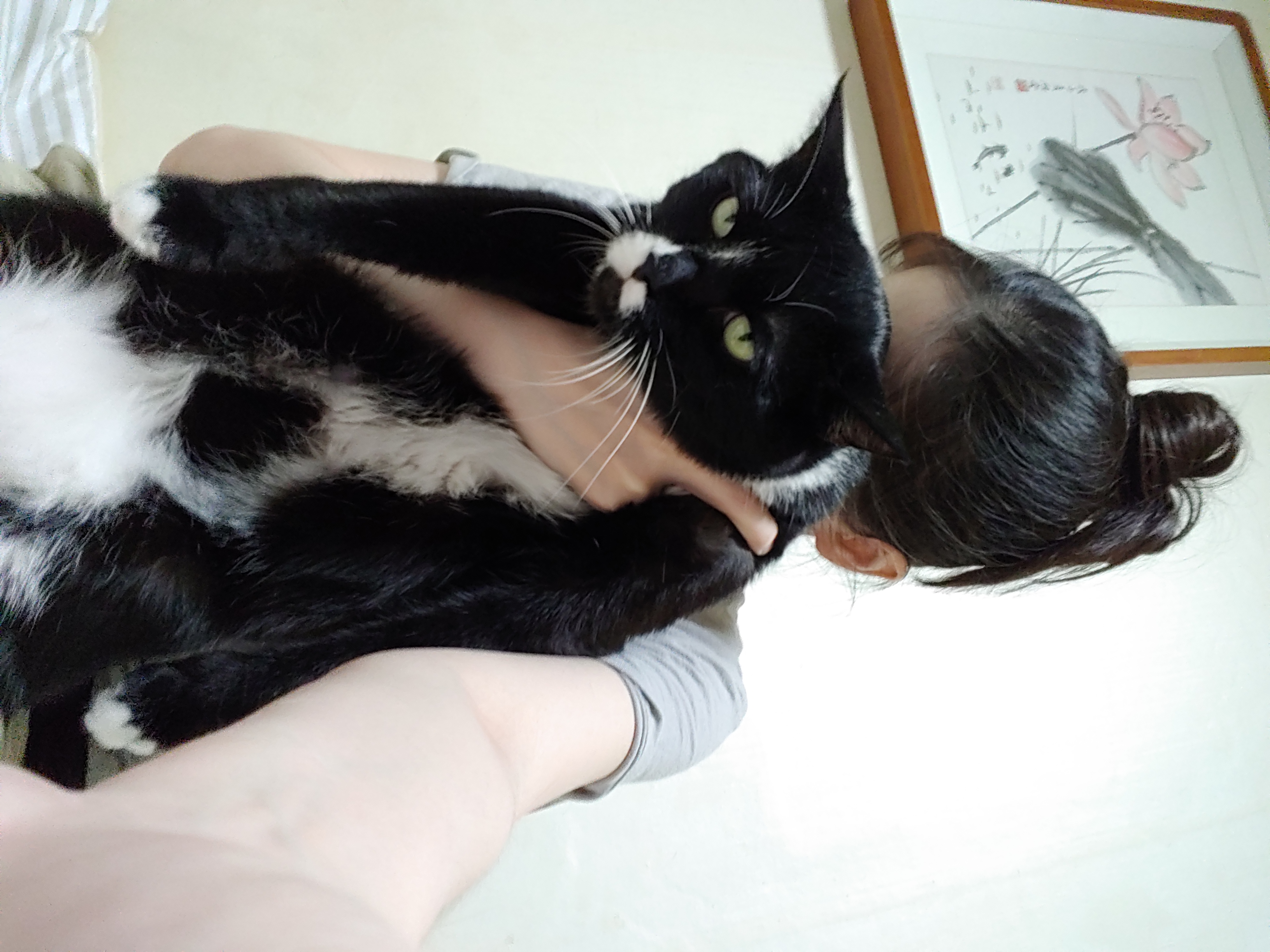 첨부 이미지