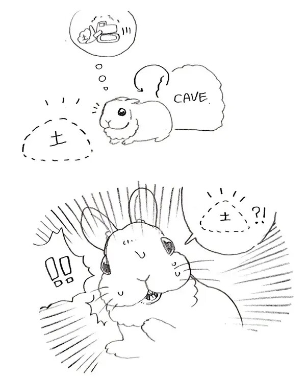 첨부 이미지