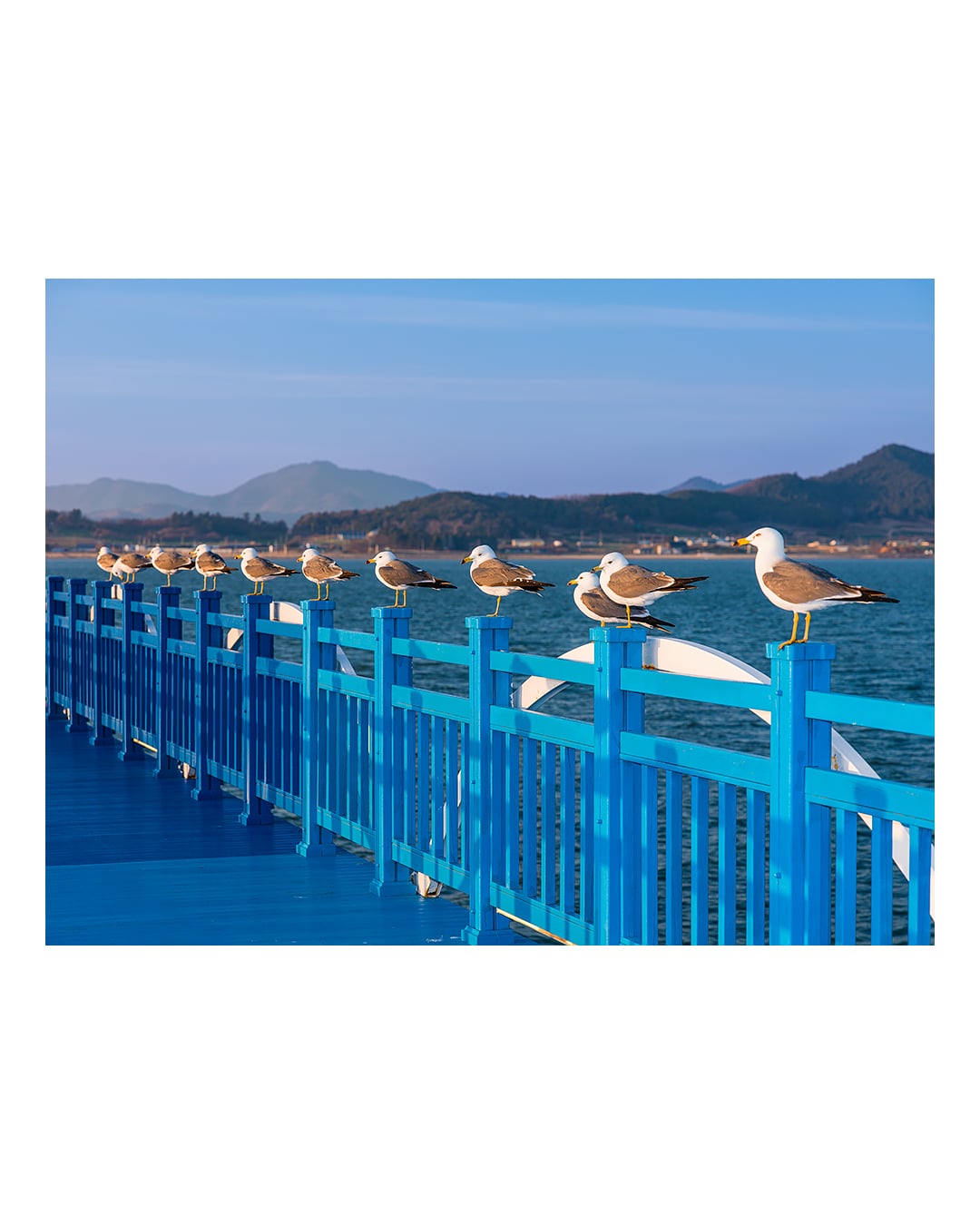 260310 함평 돌머리해수욕장 2603101746 B0003210.jpg