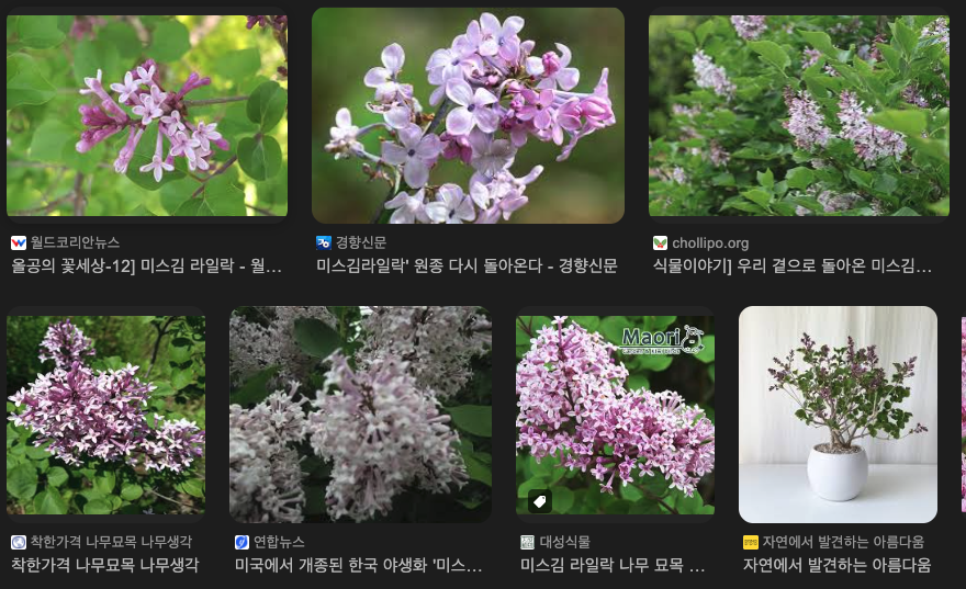 스크린샷 2026-03-13 오후 5.40.56.png