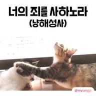 첨부 이미지