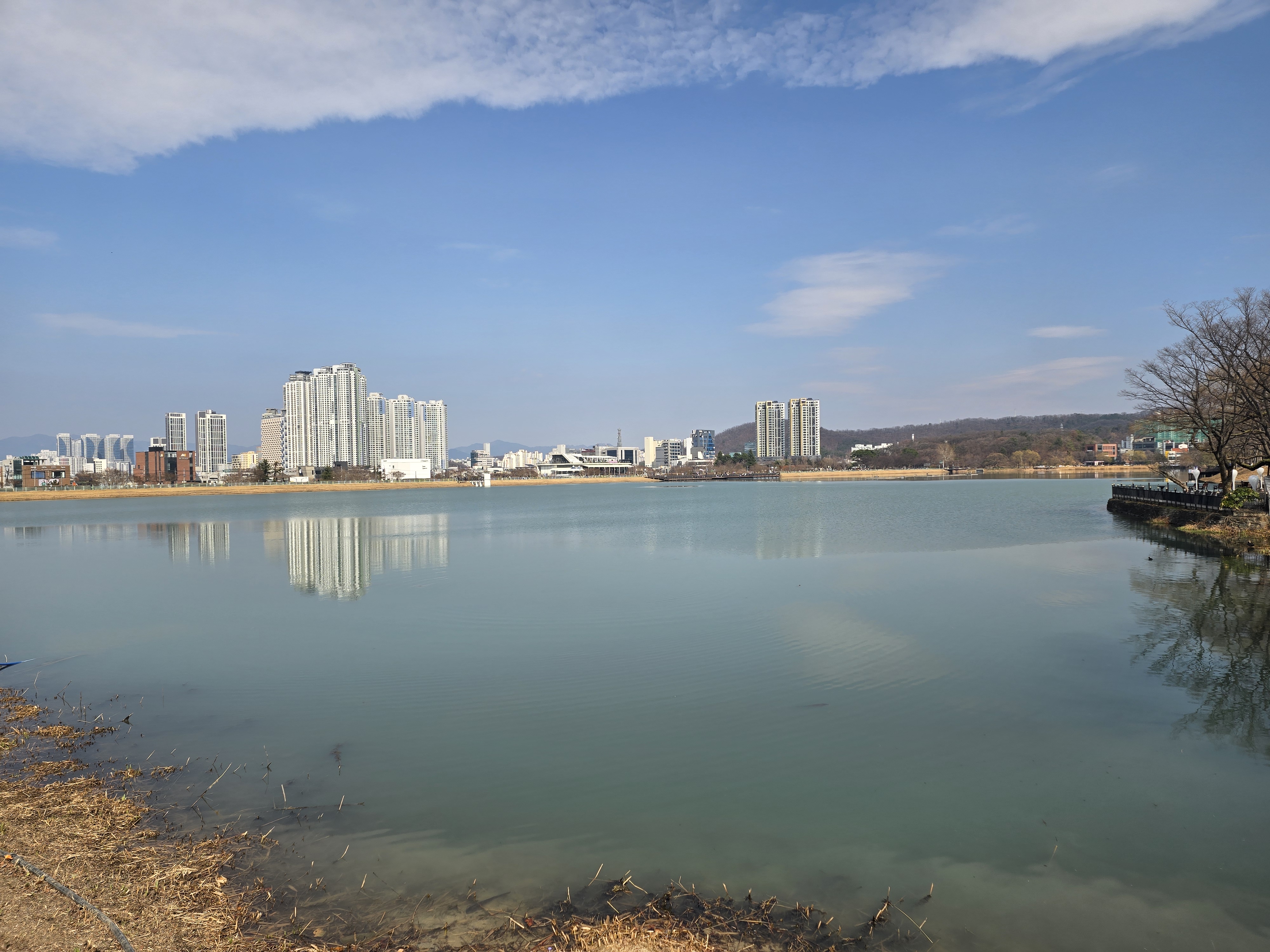 첨부 이미지