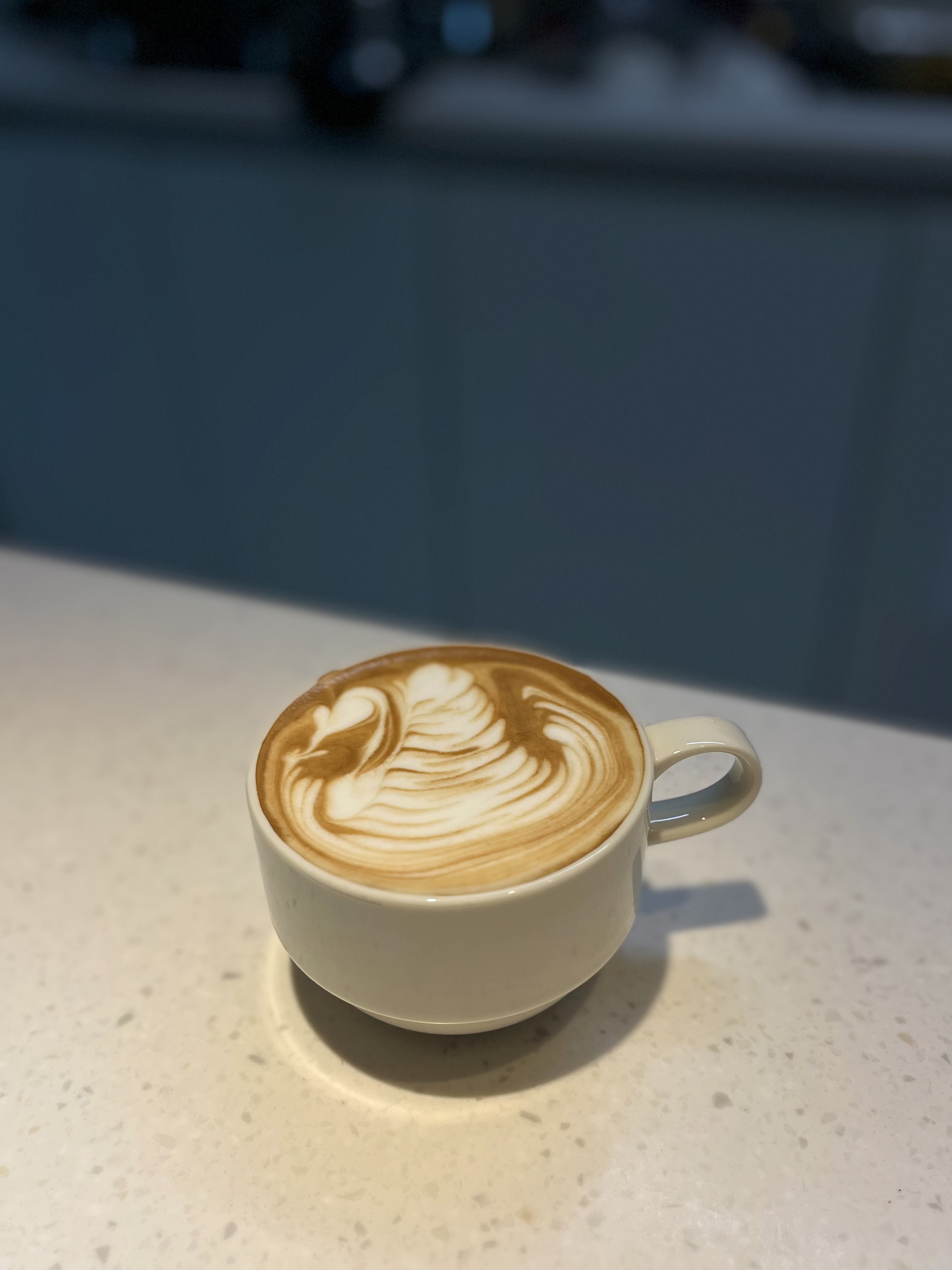 IMG_1719.jpeg