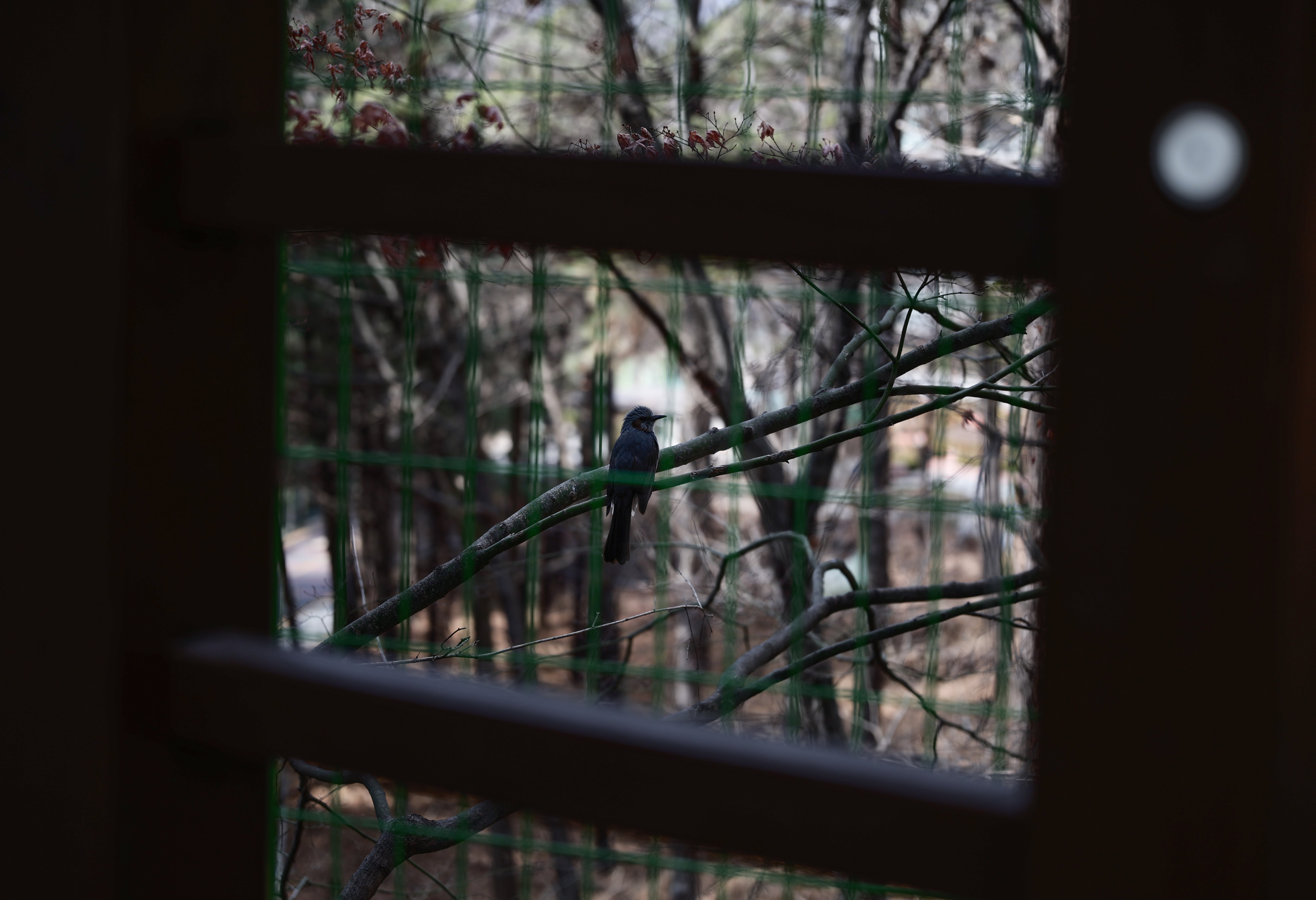 IMG_9646.jpg