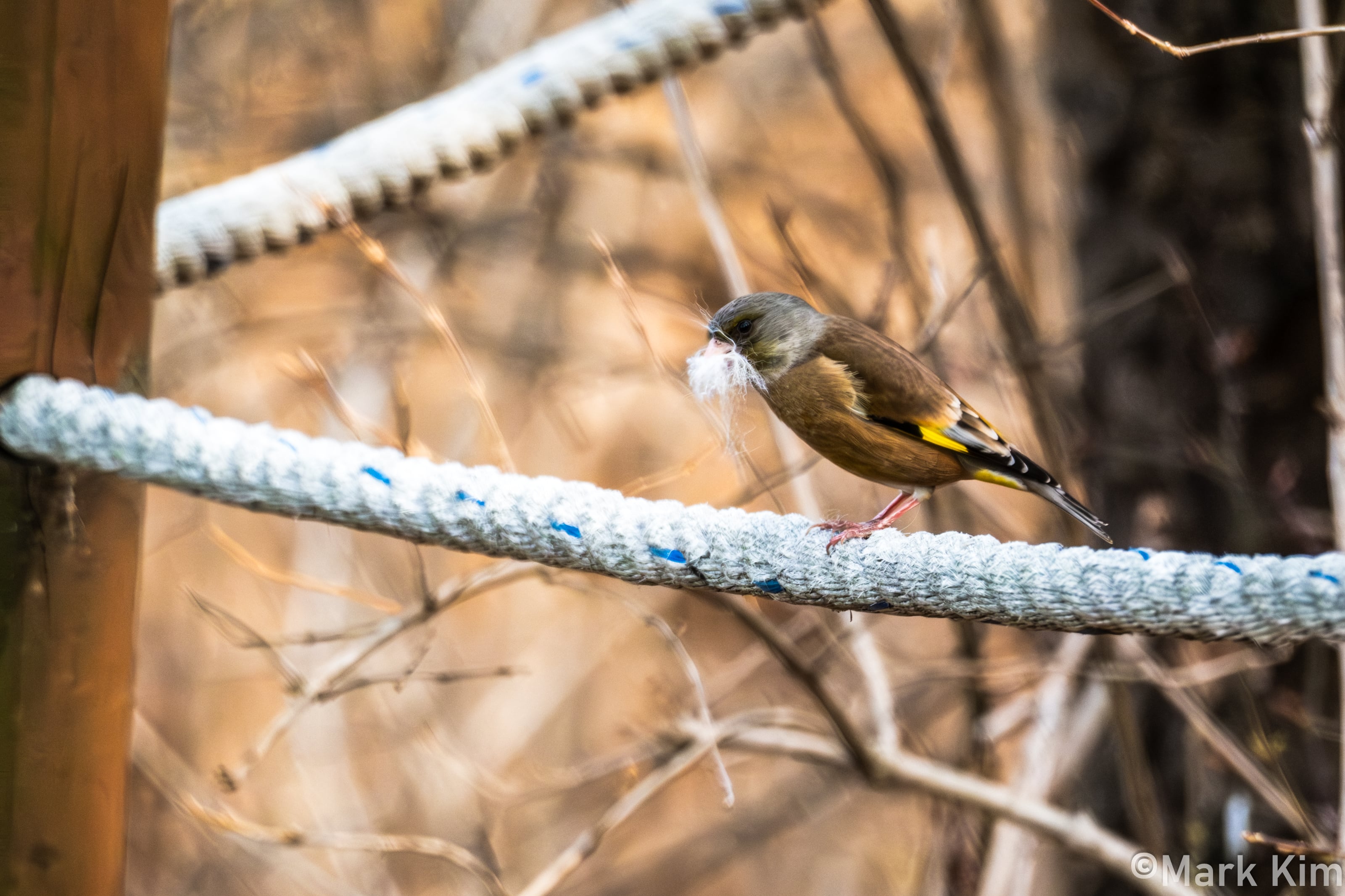 DSCF4618.jpg