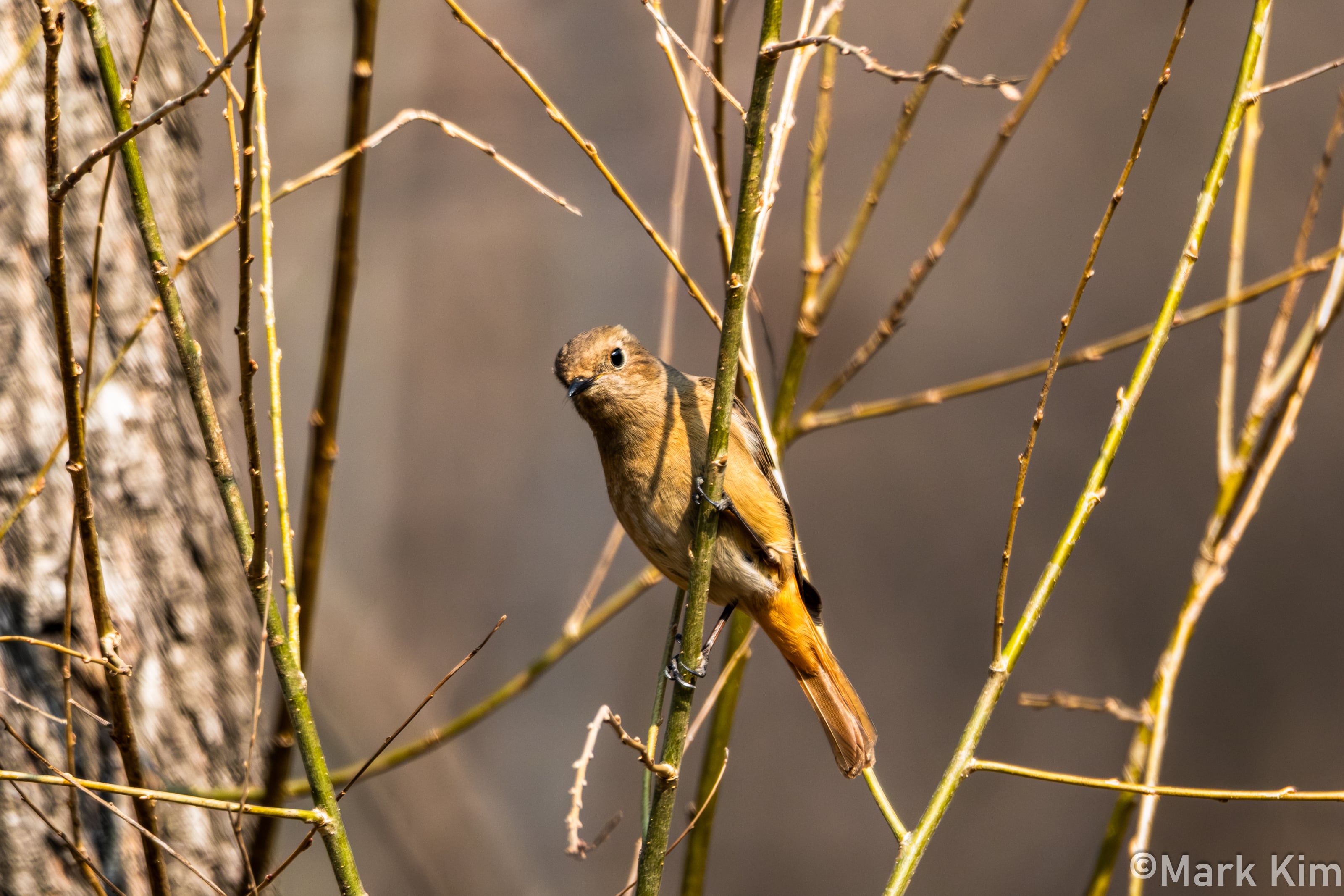 DSCF4379.jpg