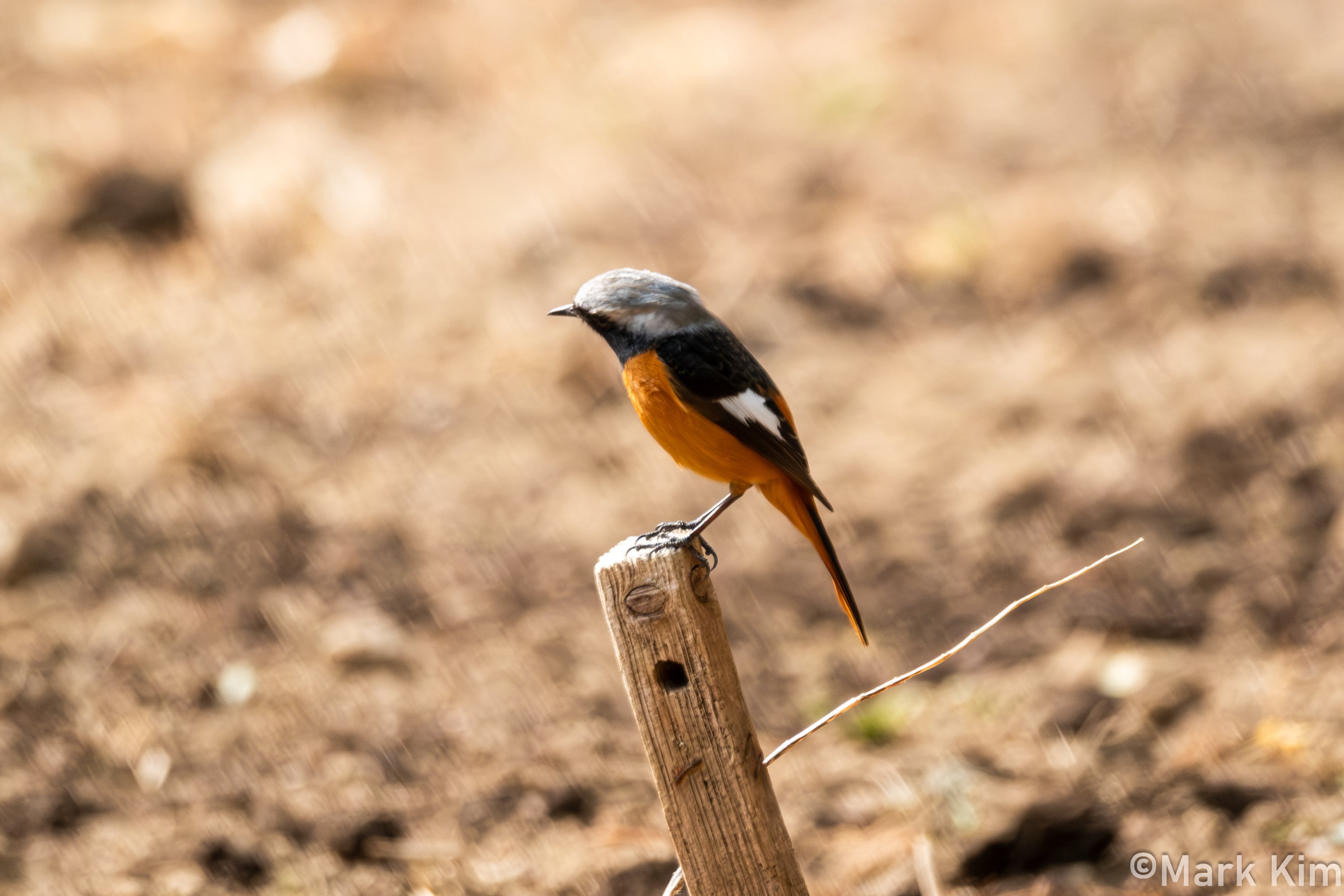 DSCF4852.jpg
