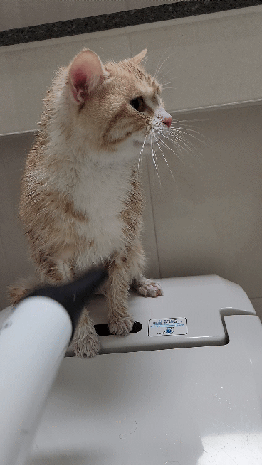 첨부 이미지